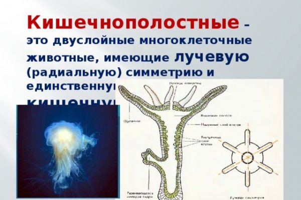 Ссылка на кракен через тор