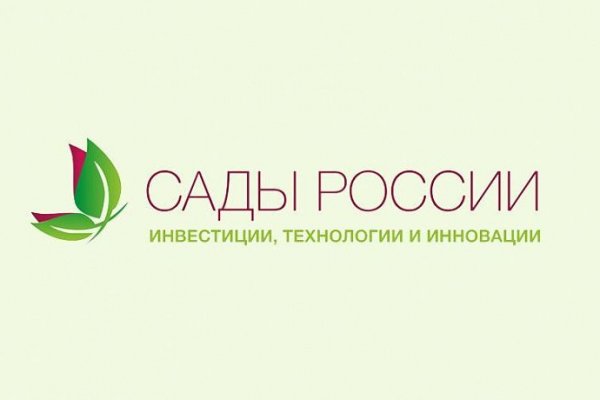 Как вывести деньги с кракена маркетплейс