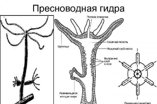 Как восстановить аккаунт в кракен